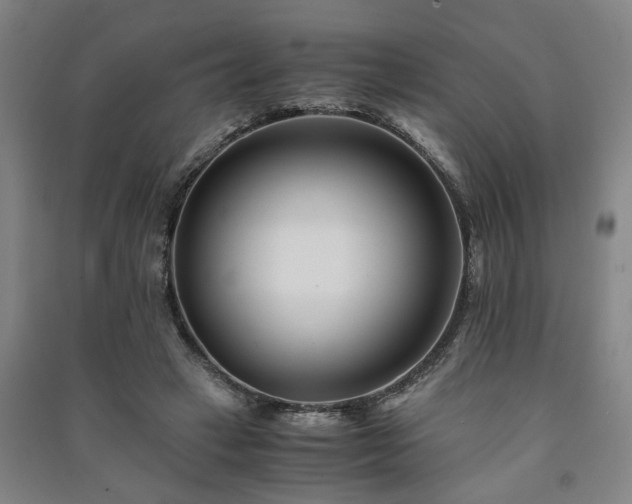 X0000091220449200708161700