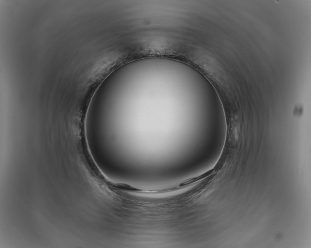 X0000091220450200708161700