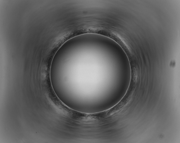 X0000091220451200708161700