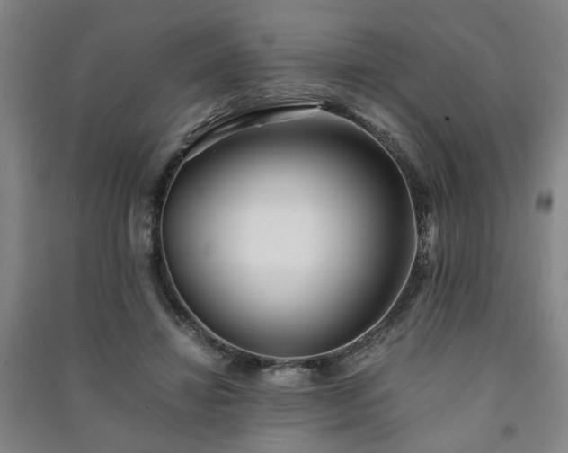 X0000091220452200708161700