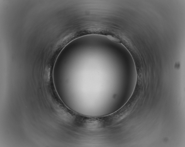 X0000091220454200708161700