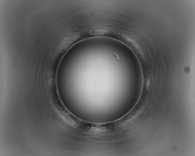 X0000091220455200708161700