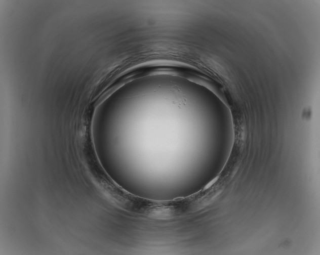 X0000091220456200708161700