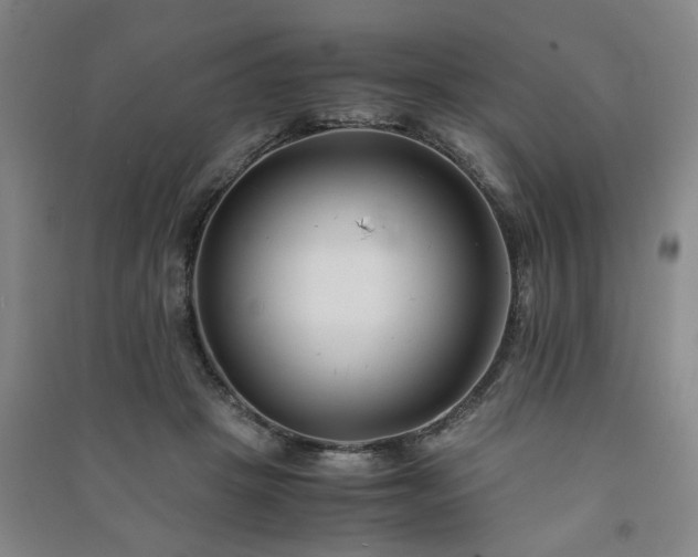 X0000091220457200708161700