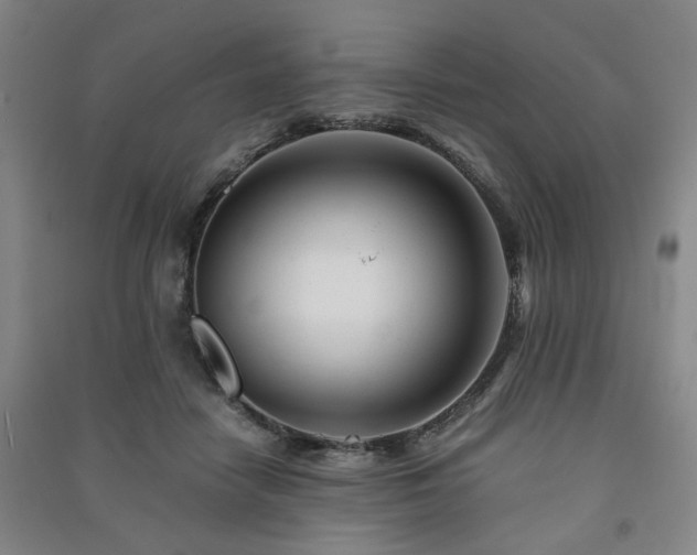 X0000091220458200708161700