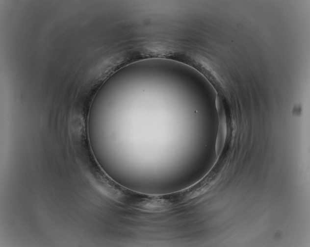 X0000091220459200708161700