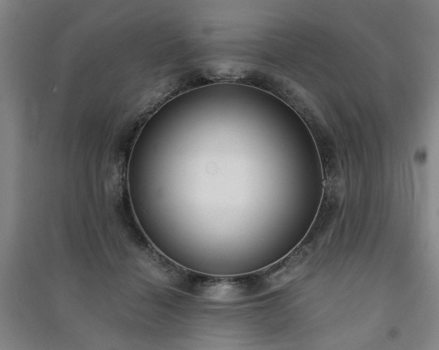 X0000091220460200708161700