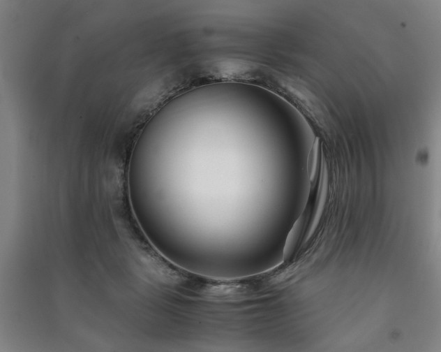 X0000091220461200708161700