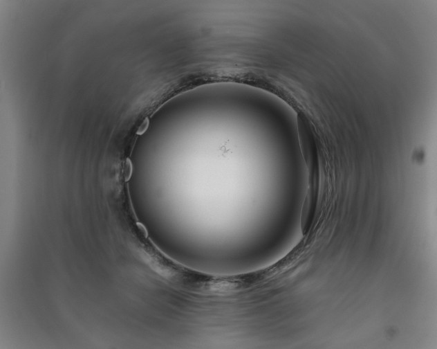 X0000091220462200708161700