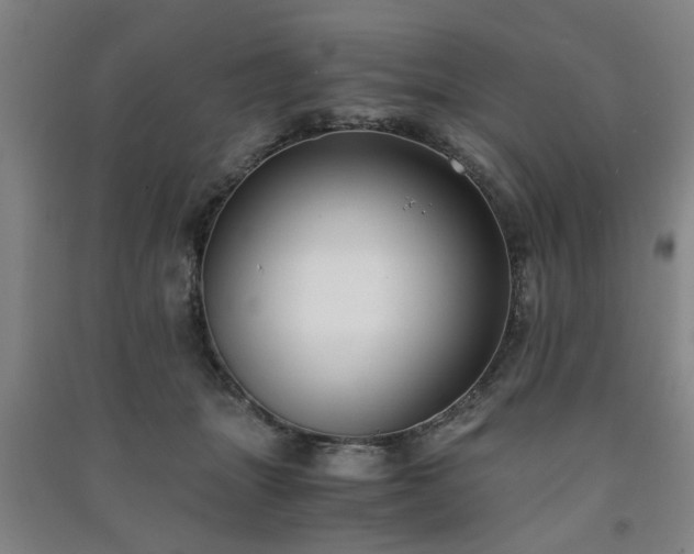 X0000091220463200708161700