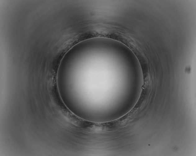 X0000091220464200708161700