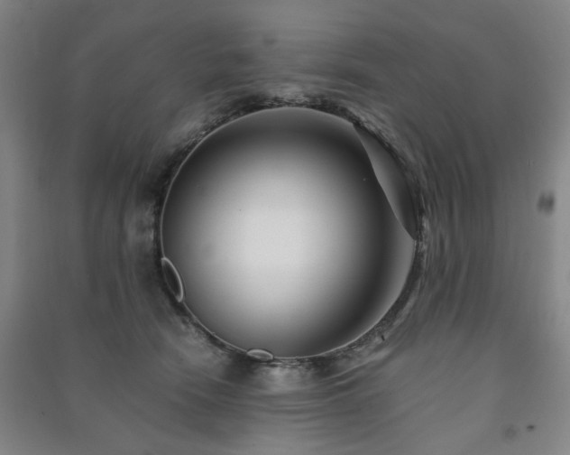 X0000091220466200708161700