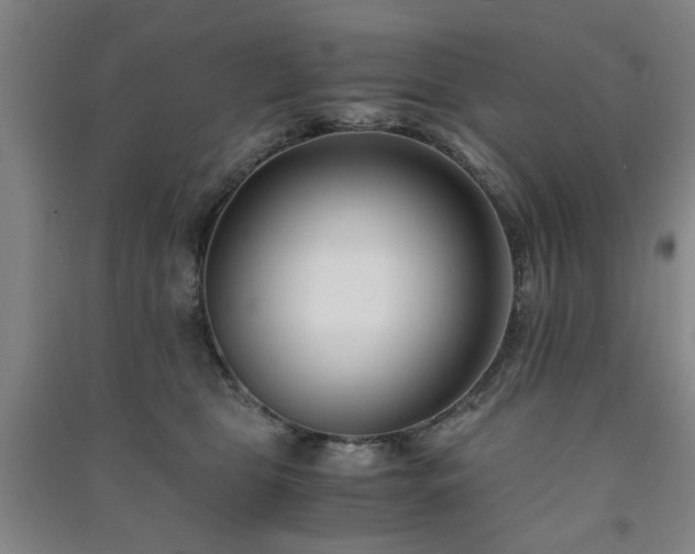 X0000091220469200708161700