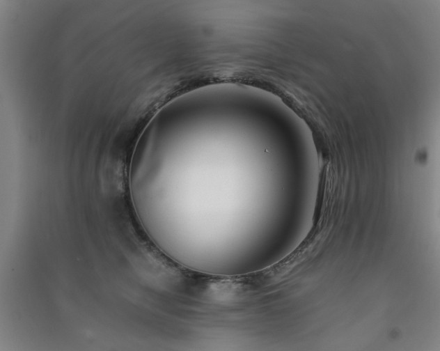 X0000091220470200708161700