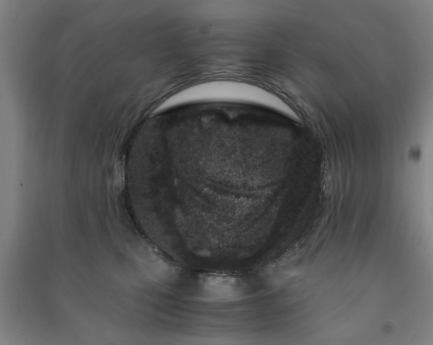 X0000091220471200708161700