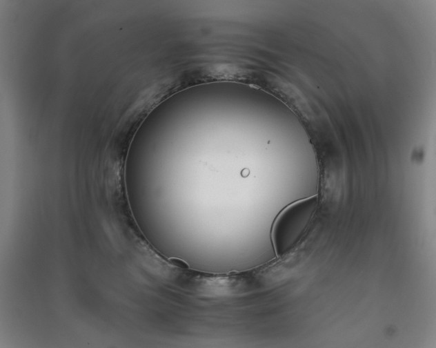 X0000091220473200708161700