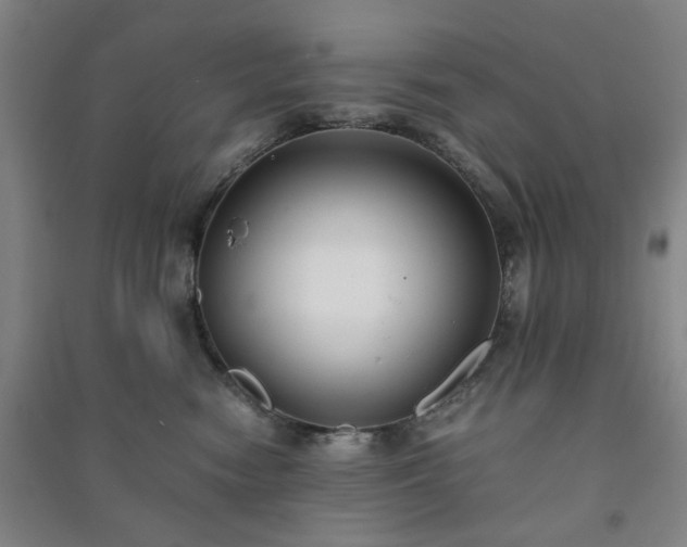 X0000091220474200708161700