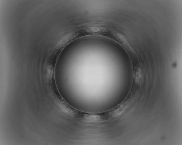 X0000091220476200708161700