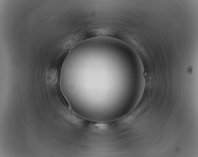 X0000091220478200708161700