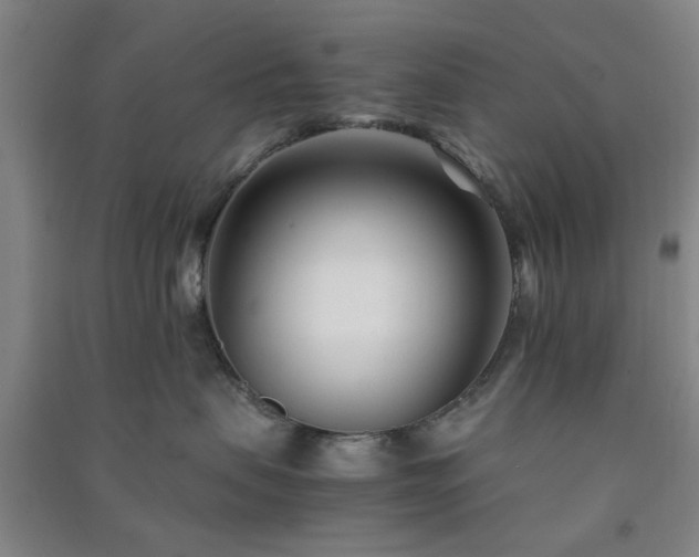 X0000091220479200708161700