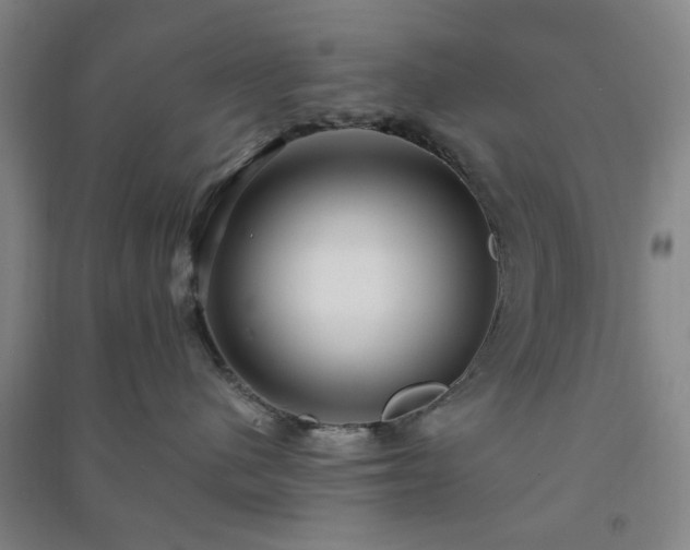 X0000091220480200708161700