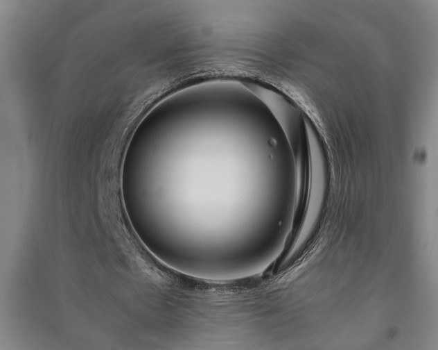 X0000091220481200708161659