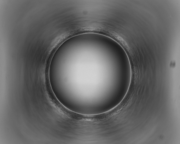 X0000091220482200708161659