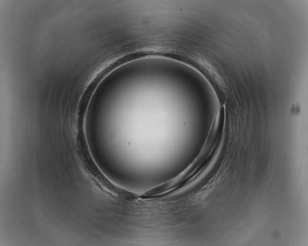 X0000091220484200708161659