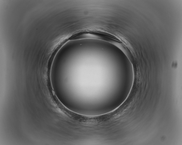 X0000091220485200708161659