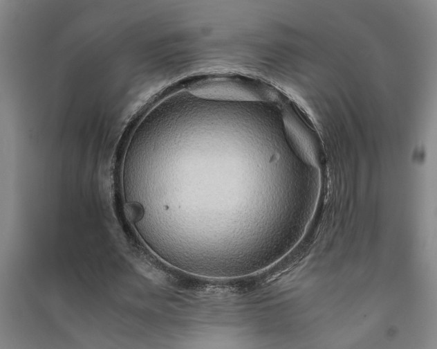 X0000091220487200708161659