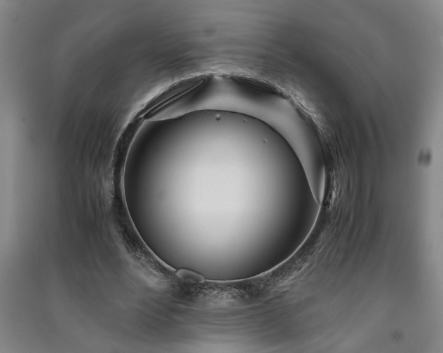 X0000091220488200708161659