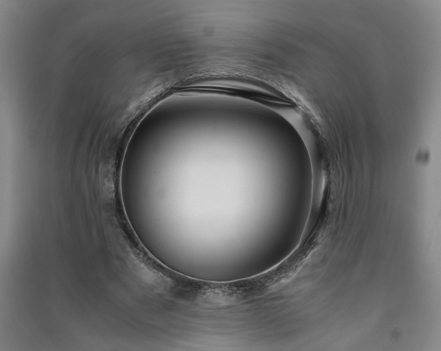 X0000091220489200708161659