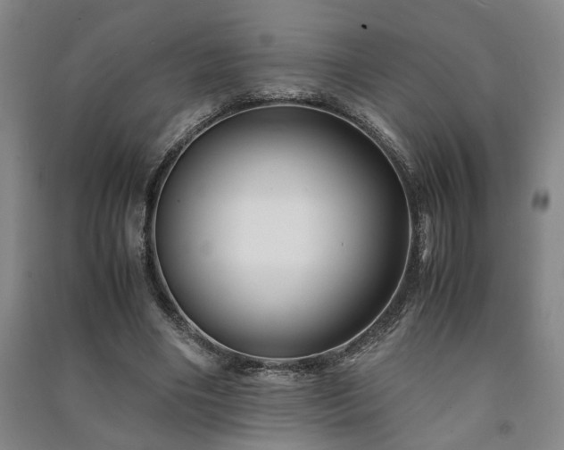 X0000091220490200708161659