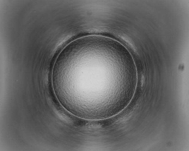 X0000091220491200708161659