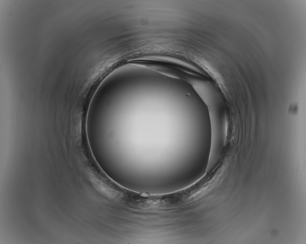 X0000091220493200708161659