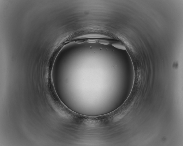 X0000091220494200708161659