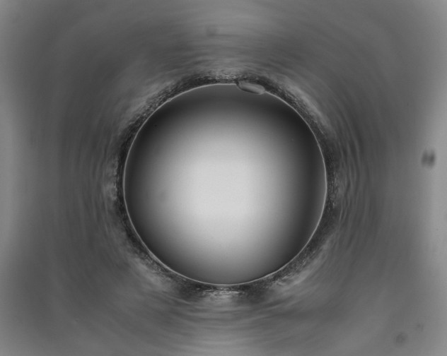 X0000091220497200708161659