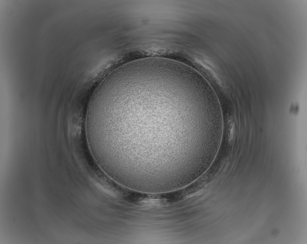 X0000091220499200708161659