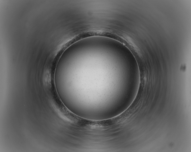 X0000091220500200708161659