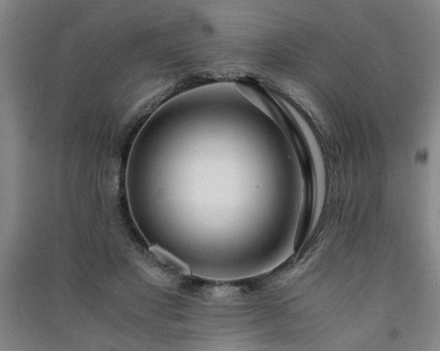 X0000091220501200708161659