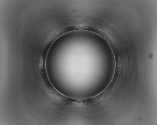 X0000091220502200708161659