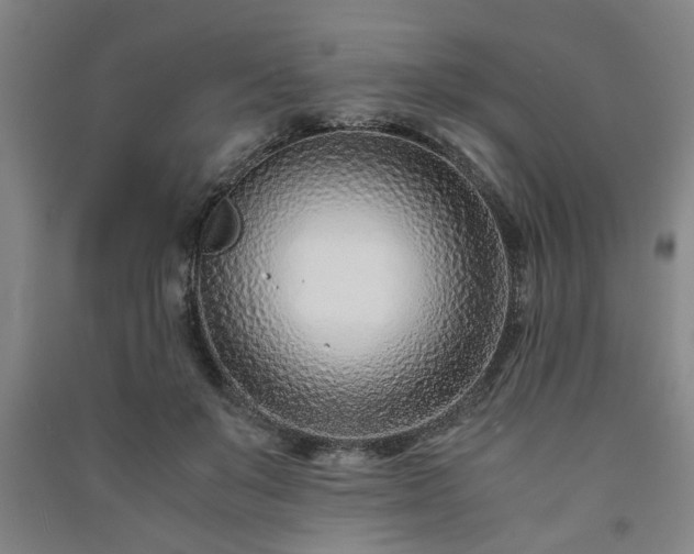 X0000091220503200708161659