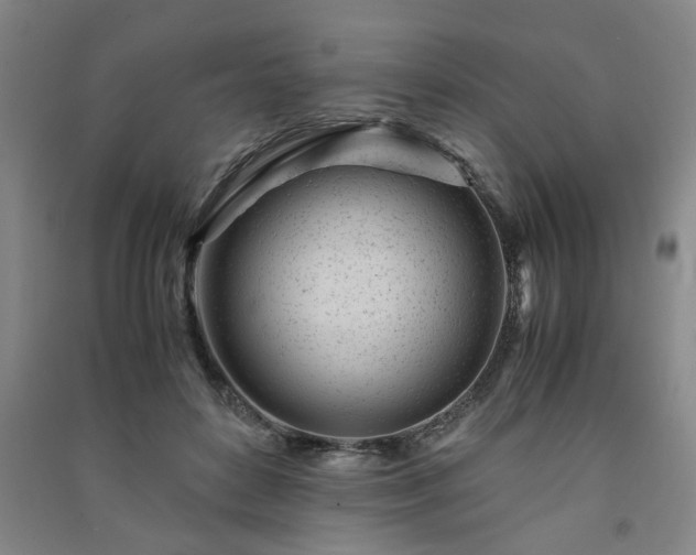 X0000091220504200708161659