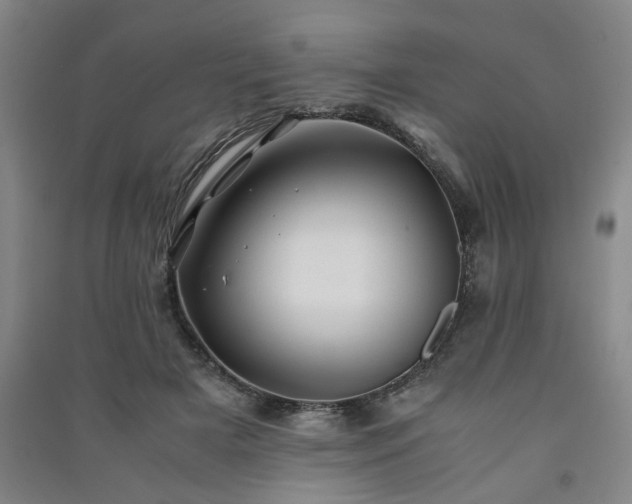 X0000091220505200708161659