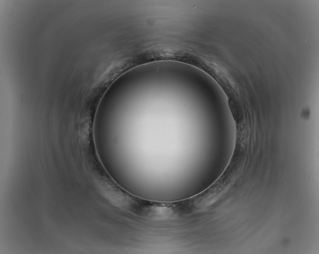 X0000091220509200708161659