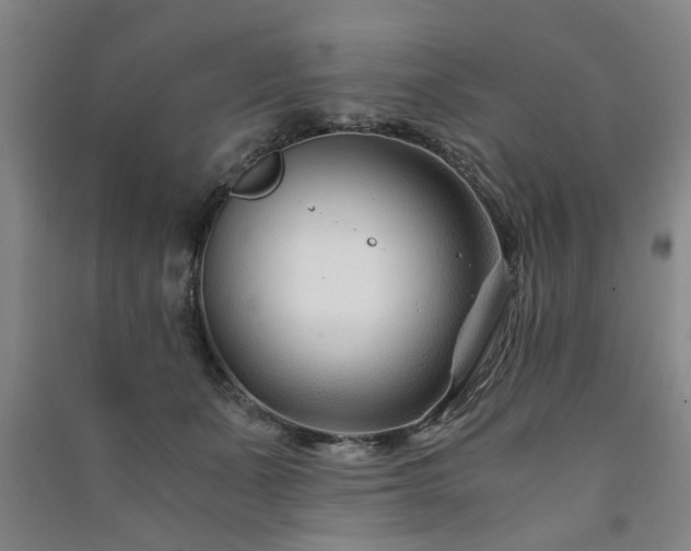 X0000091220511200708161659