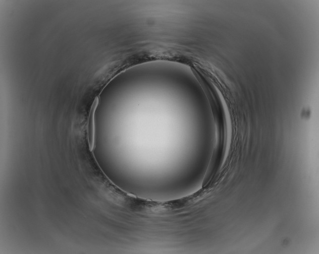 X0000091220513200708161659