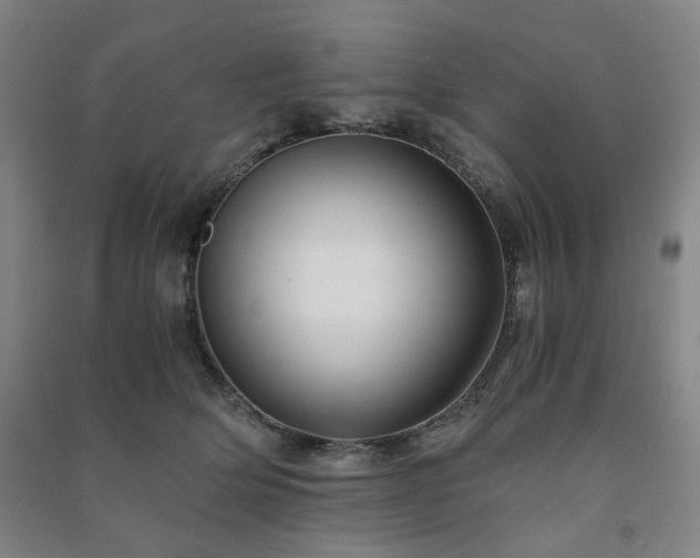 X0000091220514200708161659