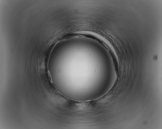 X0000091220516200708161659