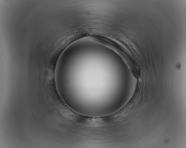 X0000091220517200708161659